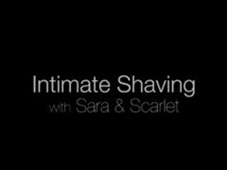 Joymii sara banky shaves scarlet b