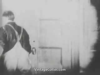 Painter vilioja ir dulkina a vienas jaunas patelė (1920s vintažas)