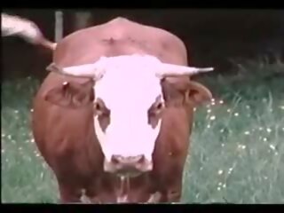 Millésime - allemand 1970 - liebestolle nichten - 02: cochon film 75