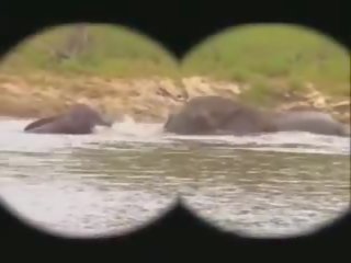 Park Kruger: Free Kruger Park sex mov fa